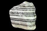 Free-Standing, Banded Zebra Calcite - Mexico #155763-1